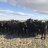 SMBFarms